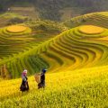 Vietnam: Land of Adventure