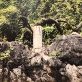 Immersive Forest Bathing and Historical Exploration in Cat Ba’s Tien Duc Cave and Karst Forests