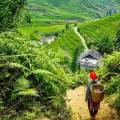 LuxGroup: Pioneering Green Growth as a Cultural DNA